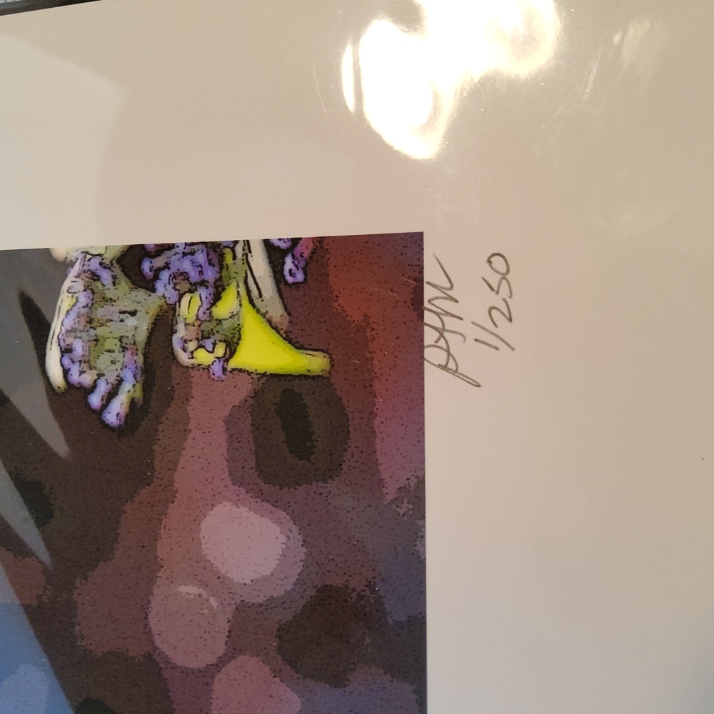 Hummingbird print 1/250 Peter James Maurer . - Picture 6 of 8